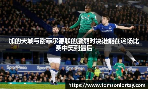 加的夫城与谢菲尔德联的激烈对决谁能在这场比赛中笑到最后