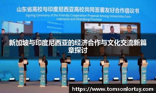 新加坡与印度尼西亚的经济合作与文化交流新篇章探讨